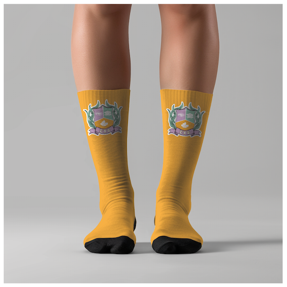 SCP Socks