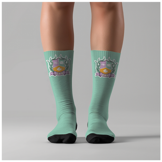 SCP Socks